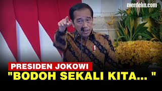 Jokowi Luapkan Kemarahan Sampai Bilang 'Bodoh' Semprot Kementerian Doyan Impor