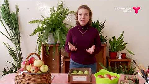 Как сохранить яблоки до зимы?