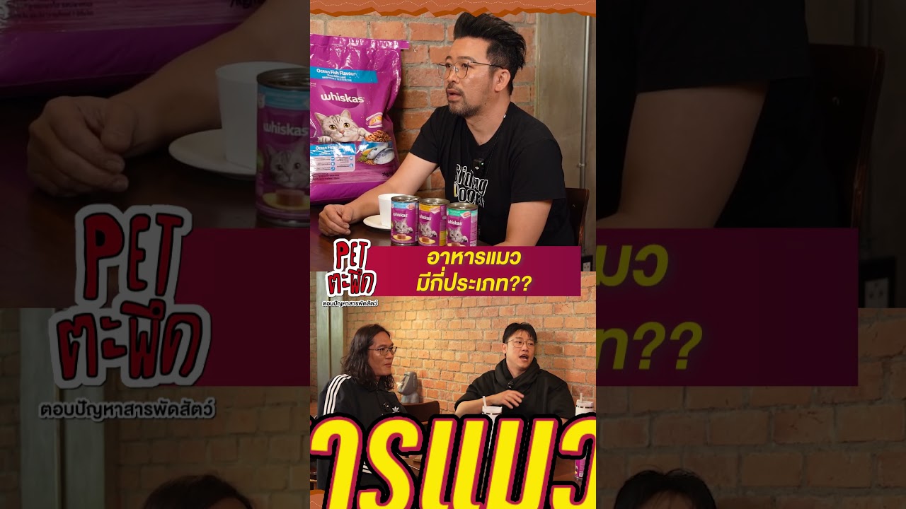 เรียนรู้"อาหารแมว"ว่ามีกี่ประเภท??