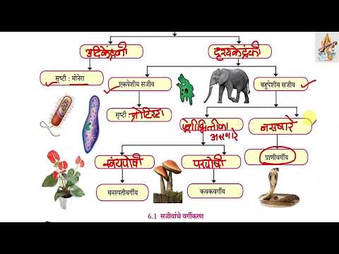 6.प्राण्यांचे वर्गीकरण Part1 दहावी विज्ञान आणि तंत्रज्ञान Pranyanche Vargikaran class 10th science