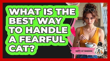 What Is The Best Way To Handle A Fearful Cat? - Happy Cat Handbook
