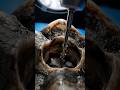 How Dentists Remove Deep Root Infection 🦷 Root Canal Explained#RootCanal #ToothInfection#DentalCare