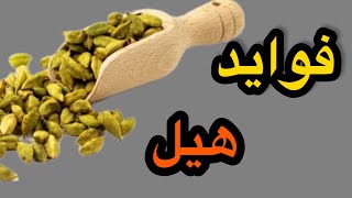 ۵خواص مهم و درمانی با هیل