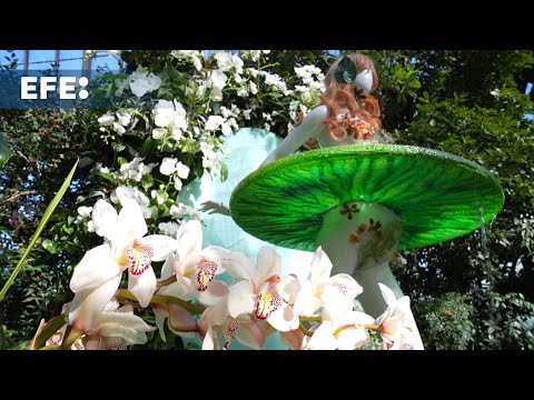 Exhibición anual de orquídeas marca tendencia en el Jardín Botánico de Nueva York
