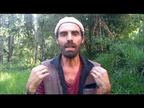Introduction to Light Language with Demian