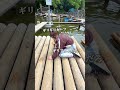 遊ぶだけで強制ダイエットになるスポットがやばかった… #shorts