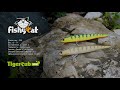 Fishycat Tigercub 205F Анимация/ Описание/ Характеристики