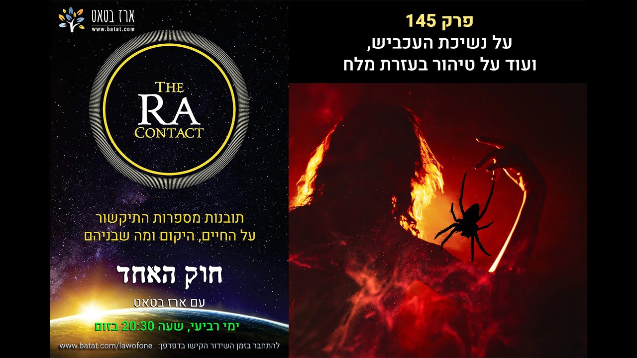 חוק האחד (רָא) עם ארז בטאט, פרק 145: על תבונה חיובית ותבונה שלילית, על תקרית העכביש שנשך את ג׳ים, ועוד על כוחו של המלח