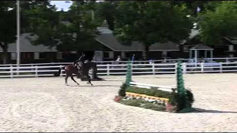Video of GRAFTON STREET ridden by WENDY LUCE from ...