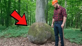 Download Lagu Lumberjack Found Huge Lump on Tree, Gut Told Him to Cut it Open Download Lagu Lumberjack Found Huge Lump on Tree, Gut Told Him to Cut it Open