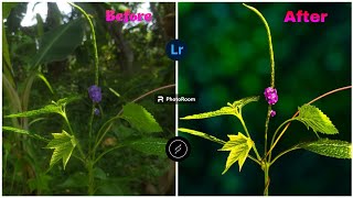 Tutorial editing MACRO PHOTOGRAPHY mobile #lightroom #macroperfection screenshot 4