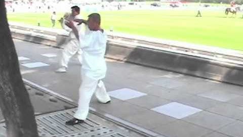 Chen Tai Chi Feng Zhiqiang