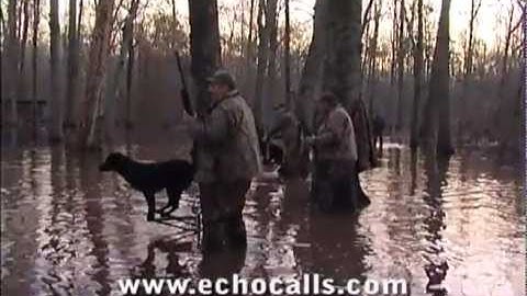 Mallard Swattin