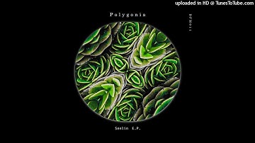 Polygonia - Mangrove