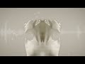 Nova Charisma "Hollow People"