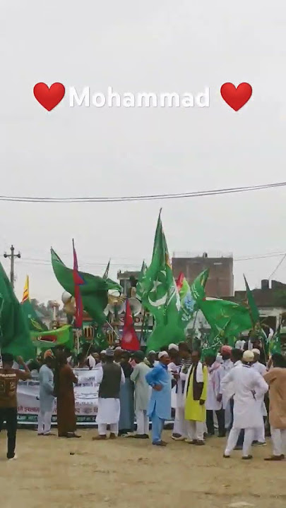 TAULIHAWA #12#Rabiul#Awwal Today) #like