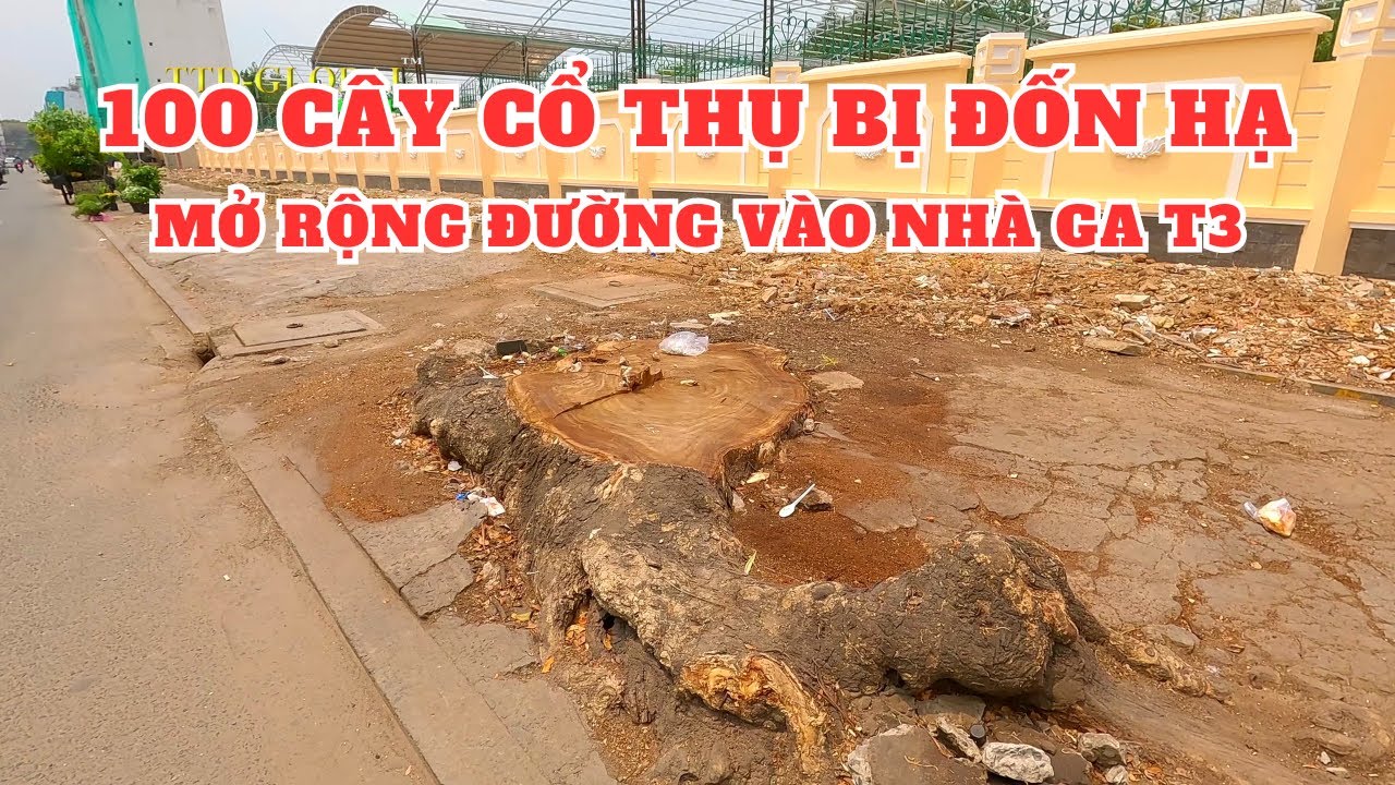 T nh h nh d n m r ng ng v o s n bay t n s n nh t youtube