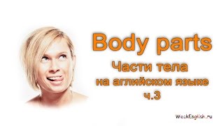 Части тела на английском языке - Голова. Body parts.