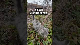 Вот и состоялся наш ретрит «Краски осени»! 🍂 подробности первыми!#ретрит #краскиосени #перезагрузка