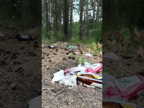 Давайте просто начнём есть свинину, каннибализм меньшее зло... #экология #природа #мусор #свиньи