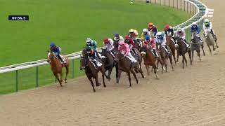 Vidéo de la course PMU PRIX DE PINAMAR