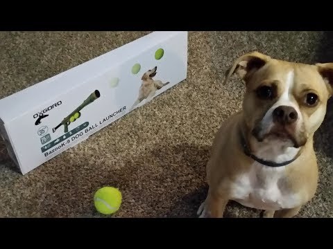 bazook-9-review-dog-tennis-ball-launcher-by-oxford--from--wish-/-ebay