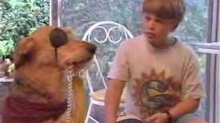 Sherlock Bones 2