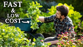This Crop Saves Time & Money in The Garden