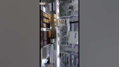 Plastic bag Epson robot hand tray sorting feeding machine packing video