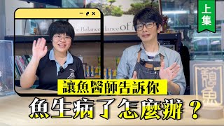 讓魚醫生告訴你:「魚生病了該怎麼辦?」 【上集】(feat.塔魚阿汪)