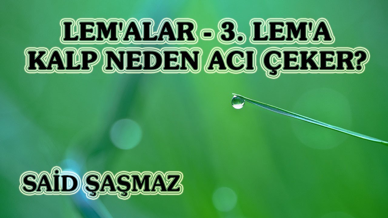 Said Şaşmaz - Lem'alar - 3 Lem'a - Kalp Neden Acı Çeker
