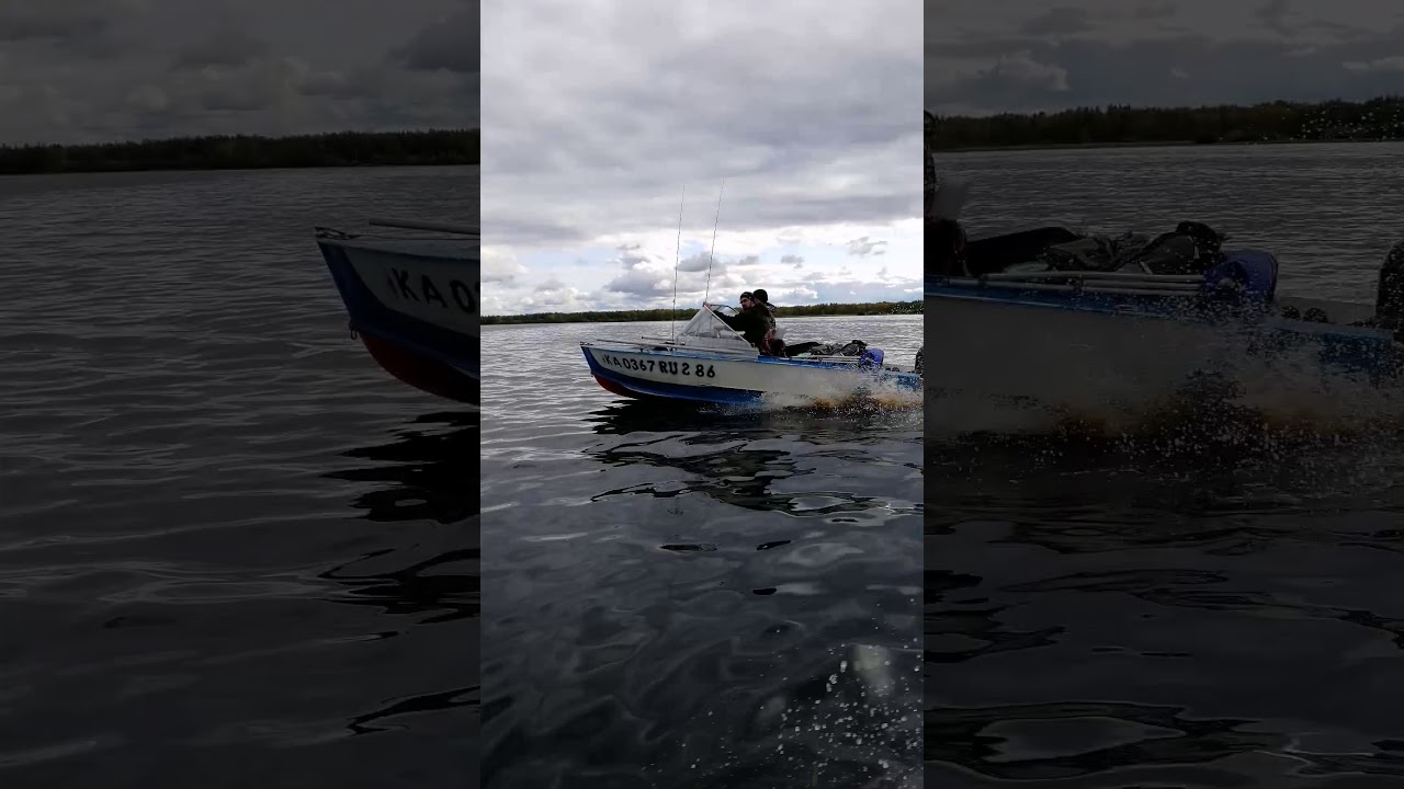 Винт сузуки 60