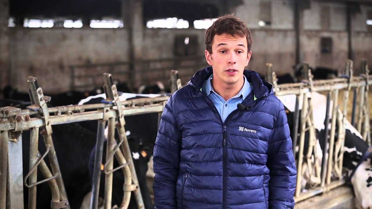 Davide Grande, Consulente Tecnico Commerciale • Ferrero