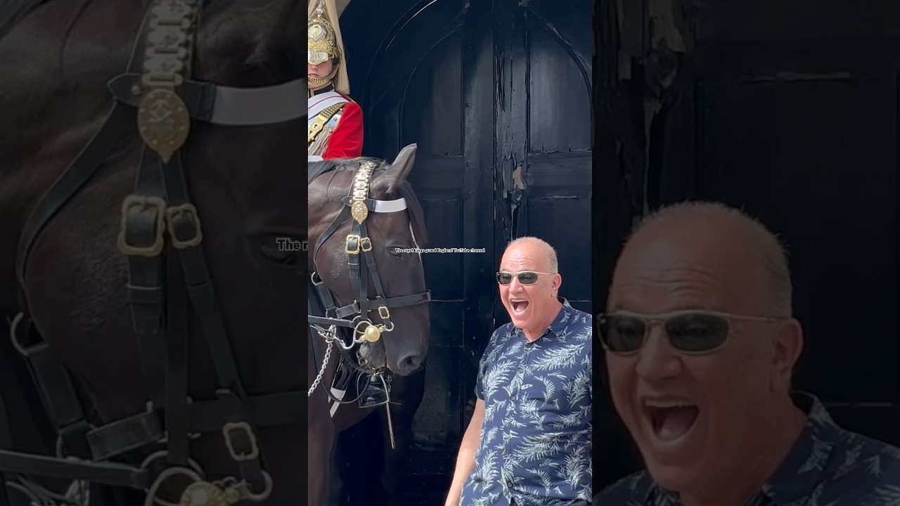 "Tourists in Stitches: A Comical Encounter with a Regal Horse and Royal Etiquette!" 🏰🐴 