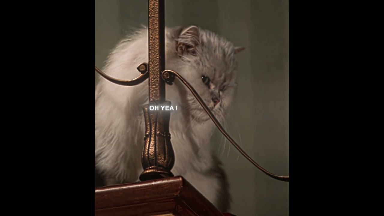 They did That 💔  - "Stuart Little" Edit | EMIN ft. JONY - Каmin (slowed) (tiktok remix)