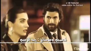 بلقيس امت امت