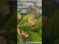 call of Duty | Hide and Seek | PROP HUNT | Time zone gaming #gtasanandreas #gta