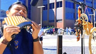 Goodbye, My Love, Goodbye ( Adios, mi amor, Adios ) Demis Roussos #cover • Pan Flute • by LuisQT