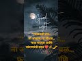 Good night #nature #viralvideo #goodnight