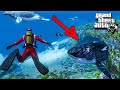 ГТА 5 МОДЫ НАШЕЛ ДРЕВНЮЮ АКУЛУ МЕГАЛОДОН В GTA 5! ОБЗОР МОДА В GTA 5 ИГРЫ ГТА МИР ВИДЕО GTA 5 МОДЫ!