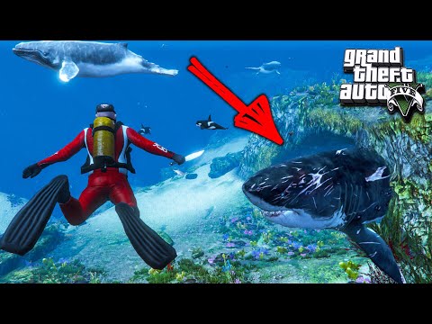 Видео: ГТА 5 МОДЫ НАШЕЛ ДРЕВНЮЮ АКУЛУ МЕГАЛОДОН В GTA 5! ОБЗОР МОДА В GTA 5 ИГРЫ ГТА МИР ВИДЕО GTA 5 МОДЫ!