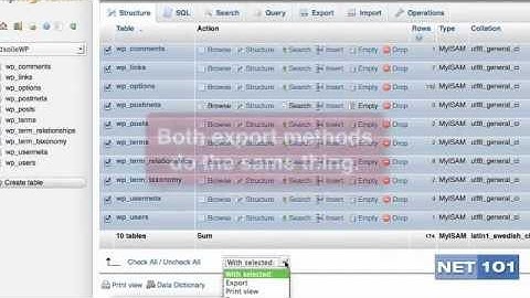 Updating WordPress Versions