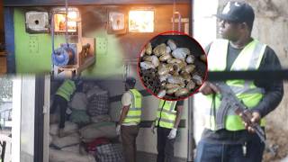 KILO ZAIDI YA 700 YA DAWA ZA KULEVYA ZATEKETEZWA ZNZ, ULINZI MKALI ZIKICHOMWA, MAPAPA TUNADILI NAO