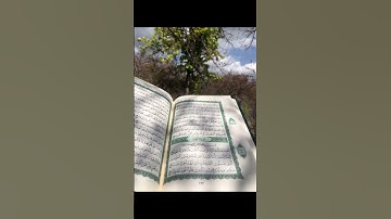 #سورة_الكهف #يوم_الجمعة #الحمدلله #يارب 🤲🏼