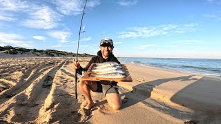 Solo Beach Fishing ' Plastics, Twisty ! CATCH and COOK by Salty Fishos 22,203 views 7 months ago 23 minutes