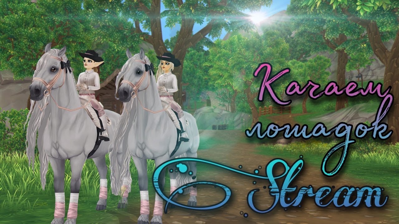 Качаем лошадок / Стрим в Star Stable / The Dreamers Guild