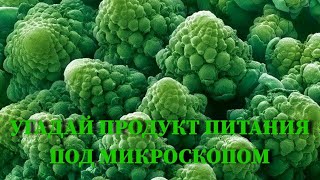 УГАДАЙ ПРЕДМЕТ ПОД МИКРОСКОПОМ ЗА 10 СЕКУНД/ БАНАН, ГОЛУБИКА, ХЛЕБ, СОЛЬ, ПЕРЕЦ, КАПУСТА, ЛУК /ВИДЕО