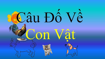 Câu đố vui thông minh các con vật phát triển tư duy, có lồng ghép học tiếng anh