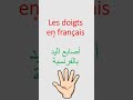 Fingers In French 