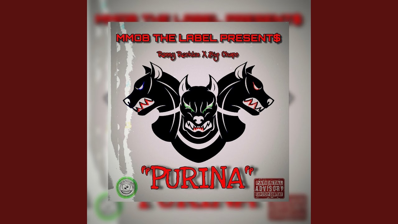 Purina (feat. Big Chapo) - YouTube